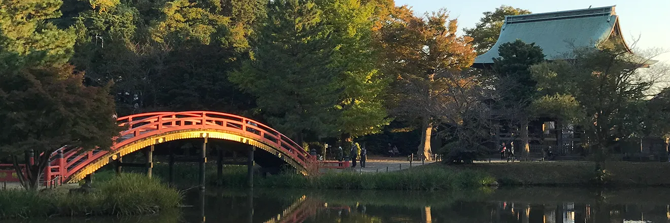 今年は17回忌の年でした