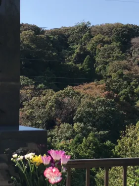2017 11 04 23 30 00
