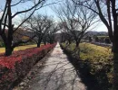 2017 11 23 30 00