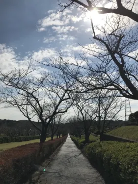2018 10 20 23 30 00